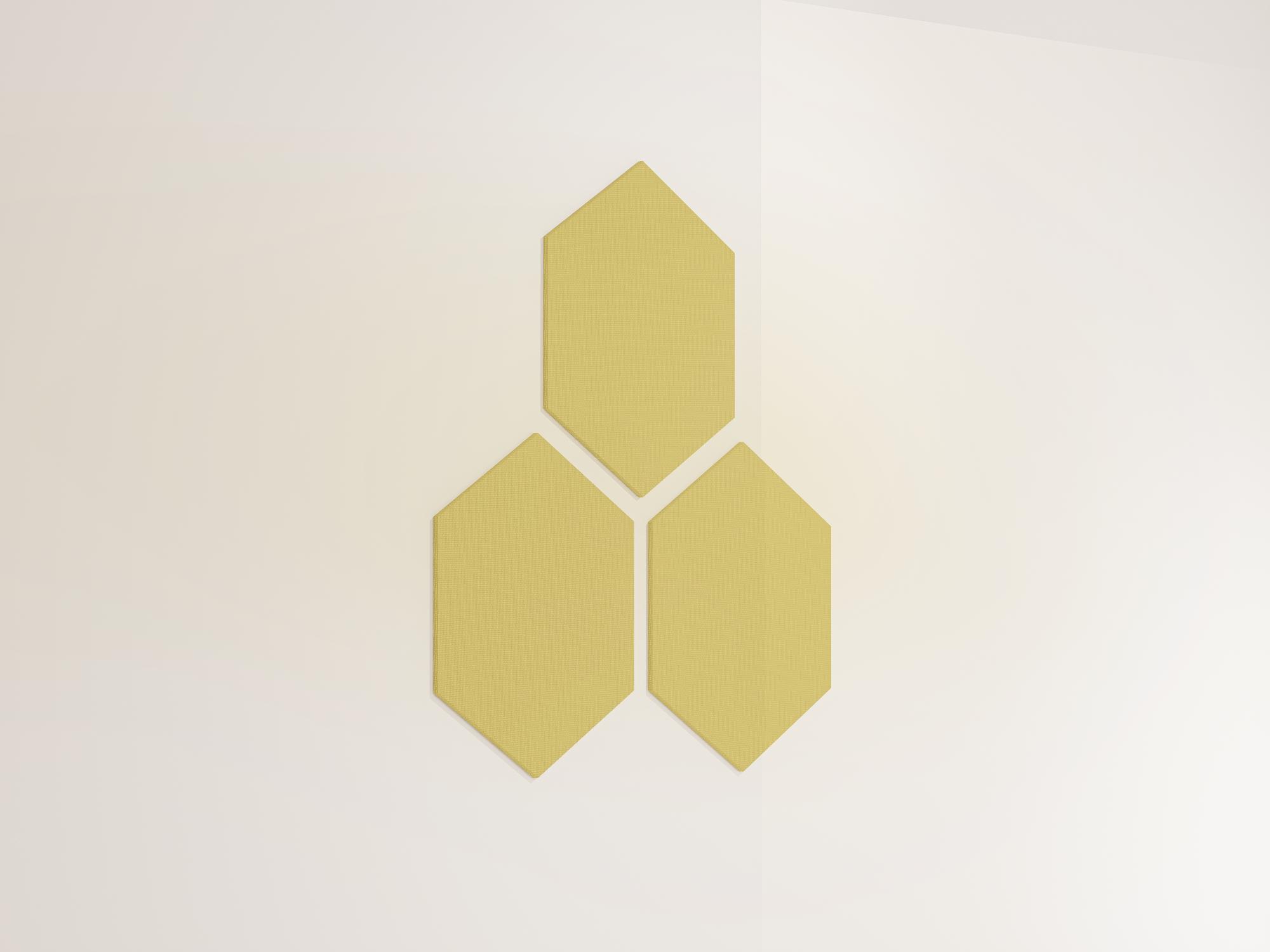25WallHexagon03