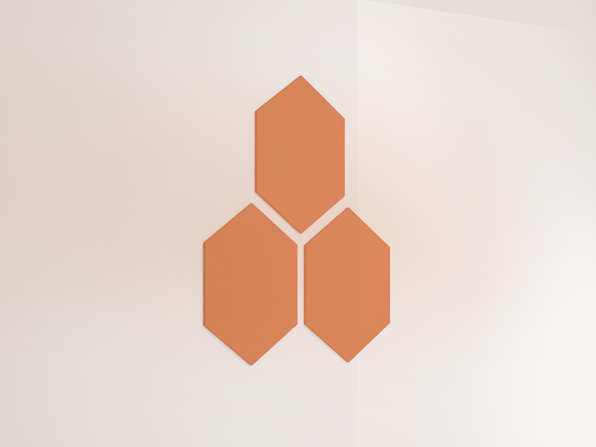 25WallHexagon05