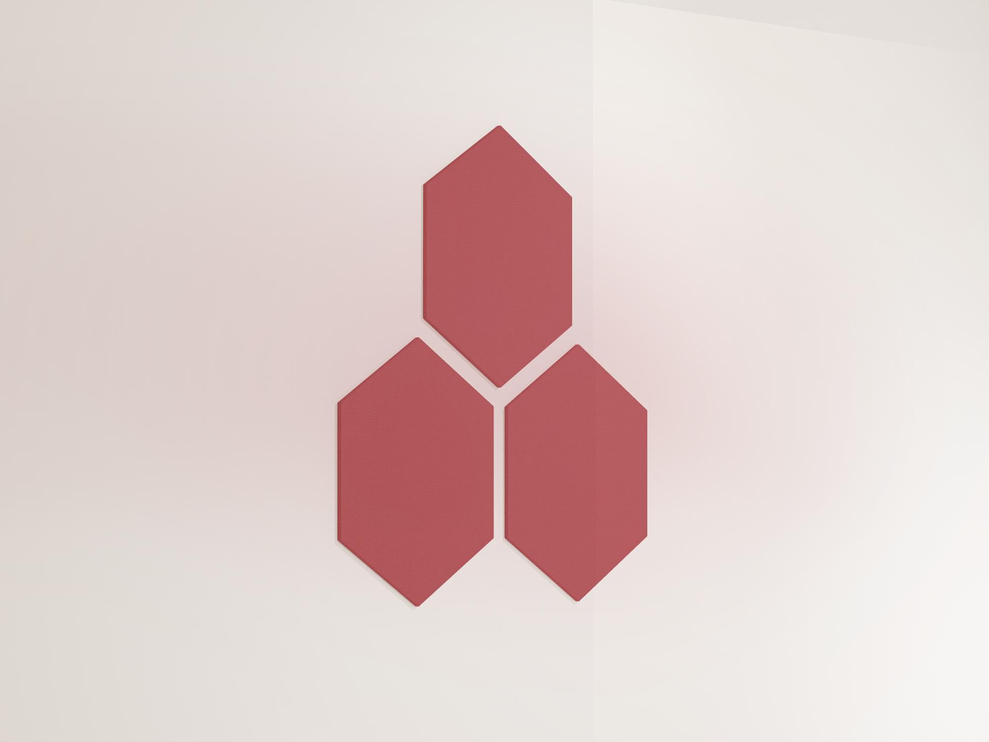 25WallHexagon06