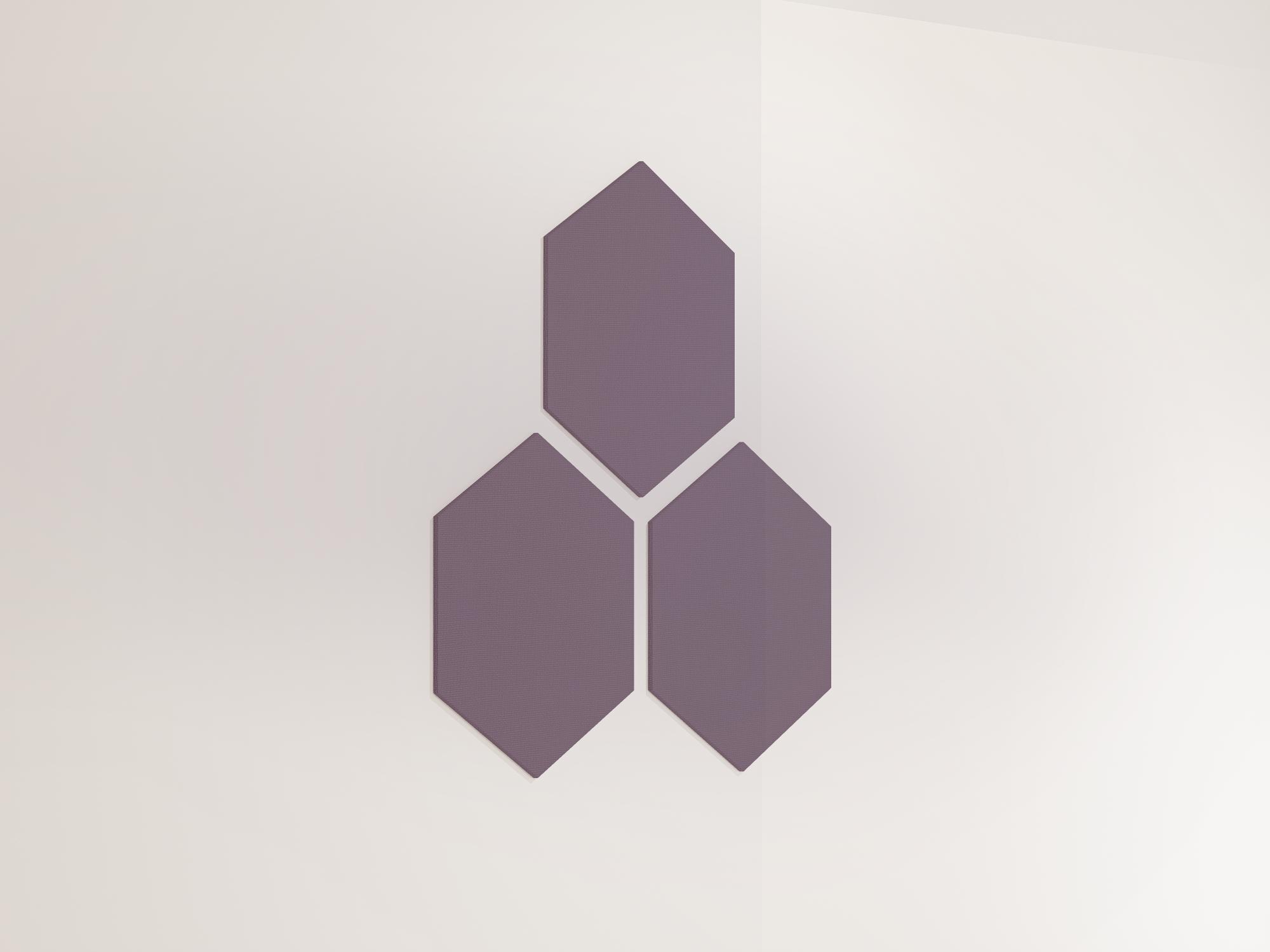 25WallHexagon09
