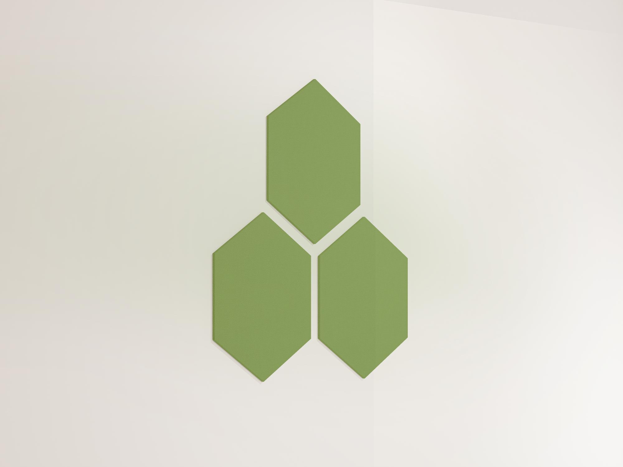 25WallHexagon16