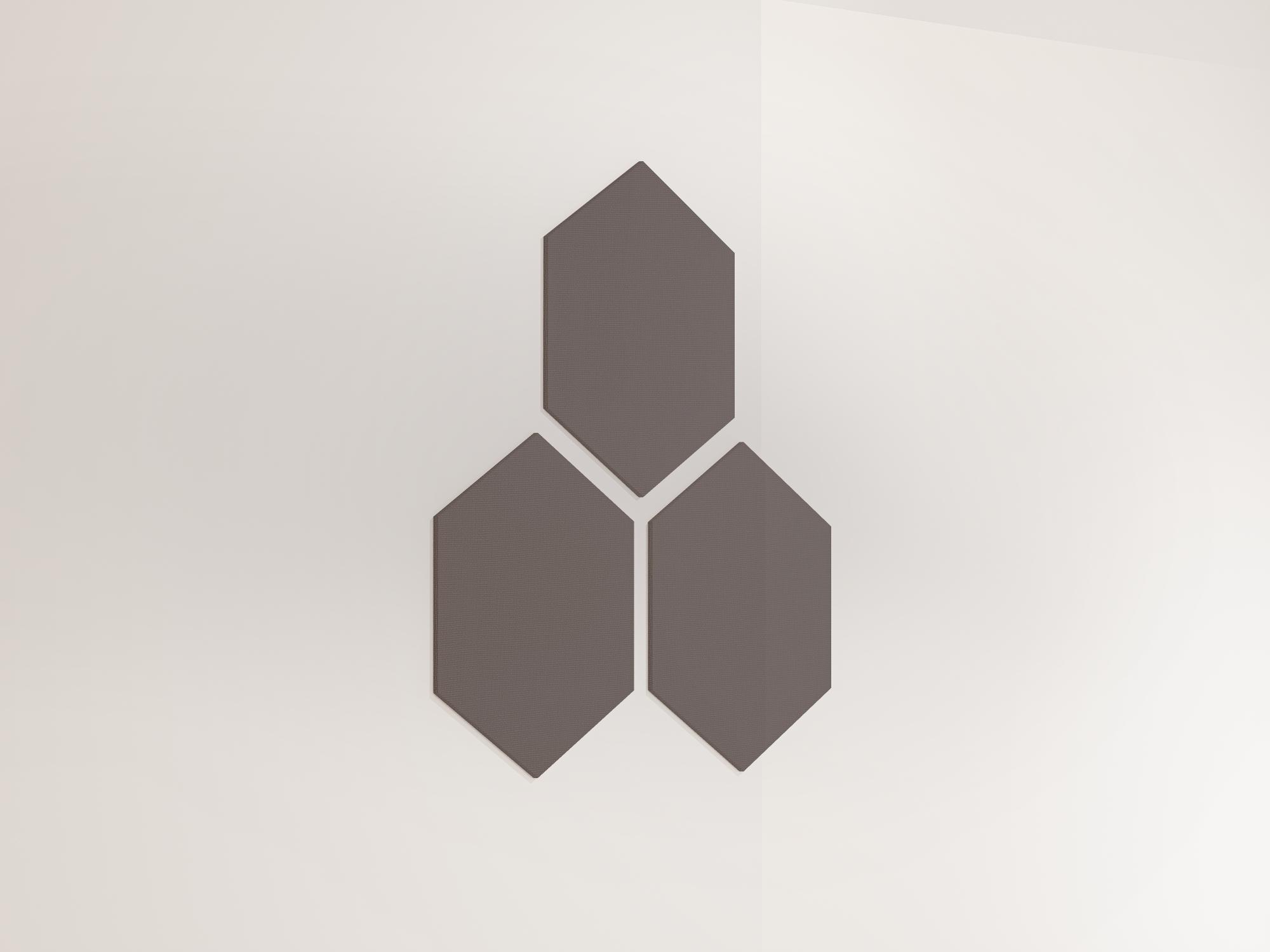 25WallHexagon21