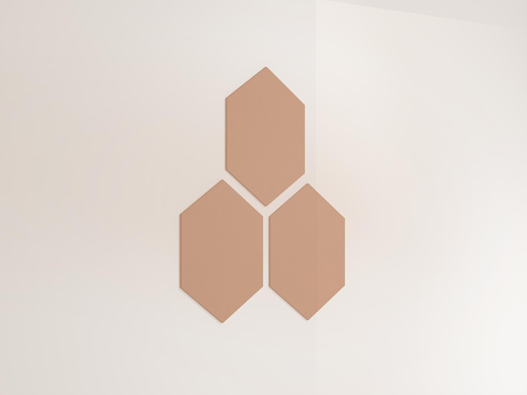 25WallHexagon25