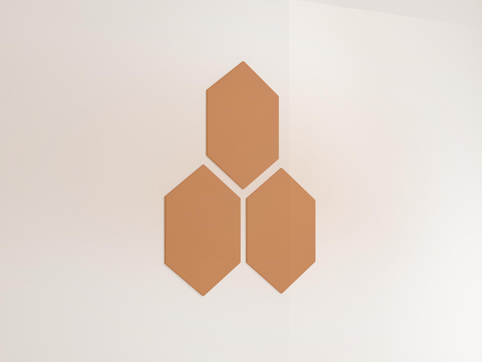 25WallHexagon27