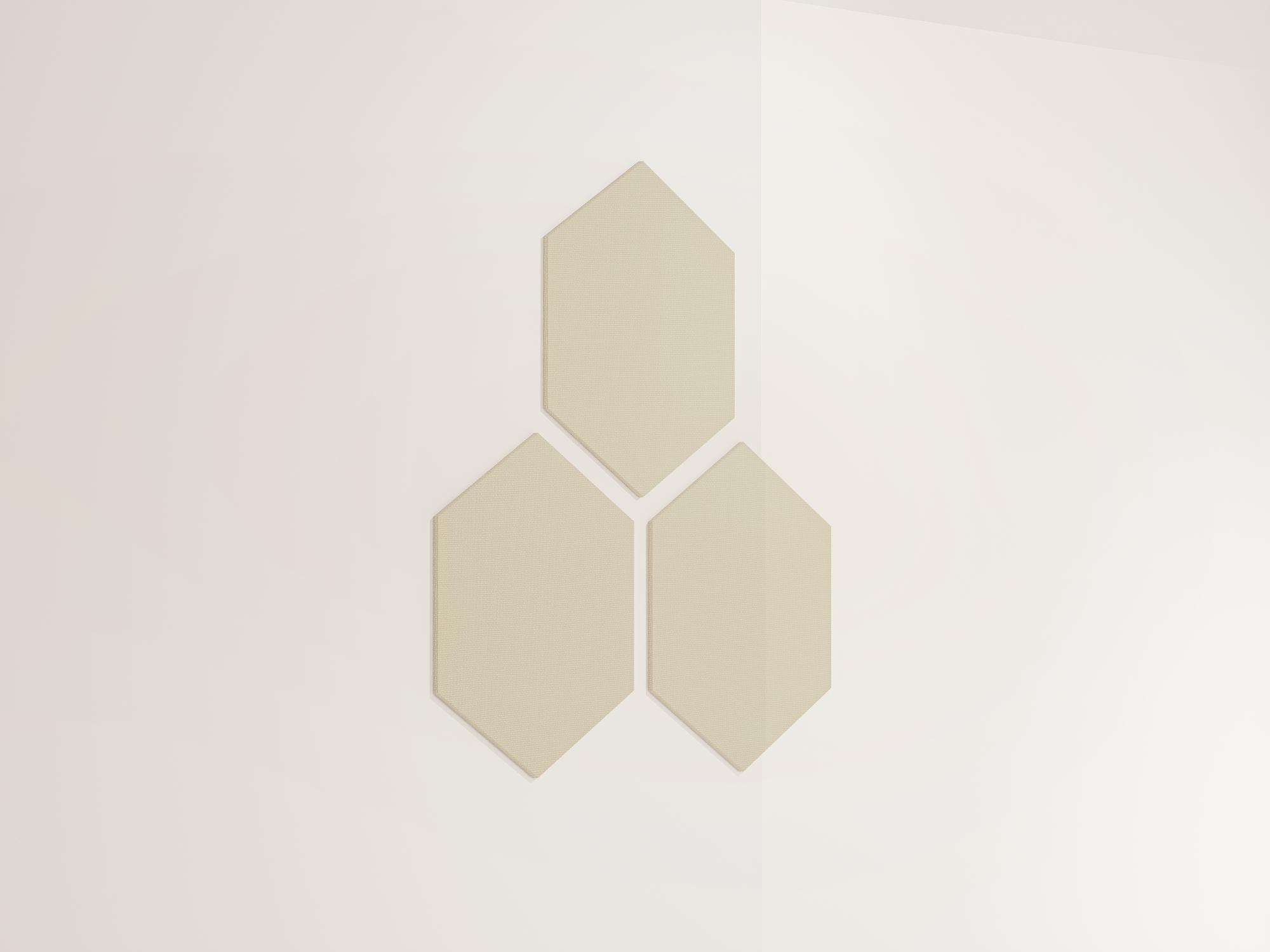 25WallHexagon30