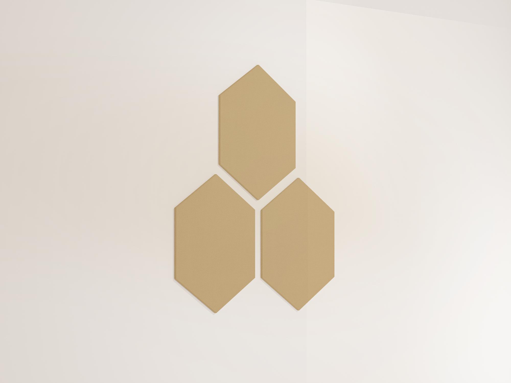 25WallHexagon31