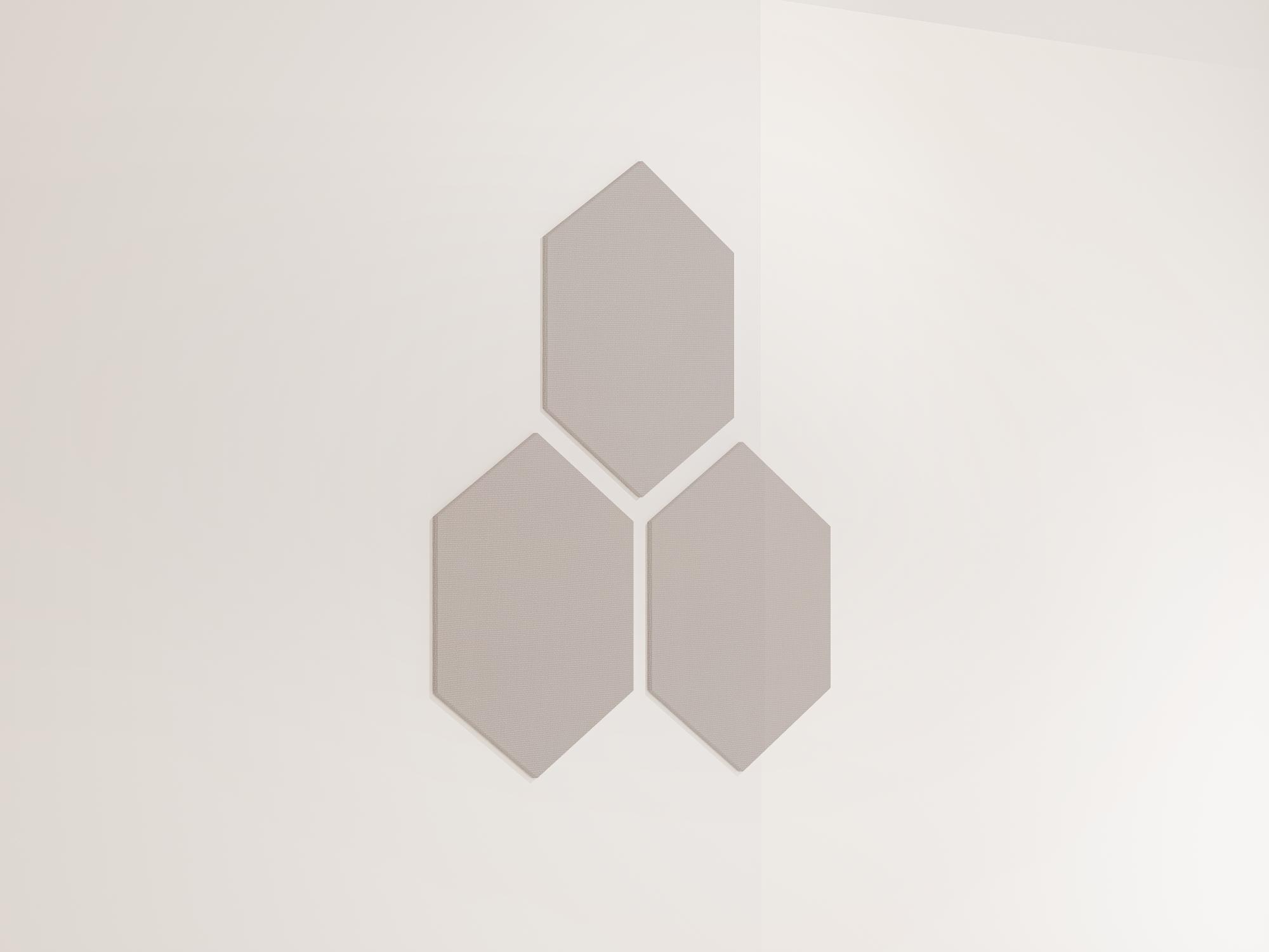 25WallHexagon41