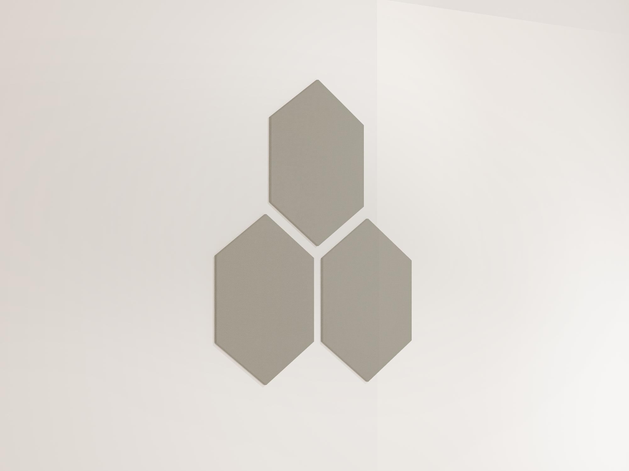 25WallHexagon45