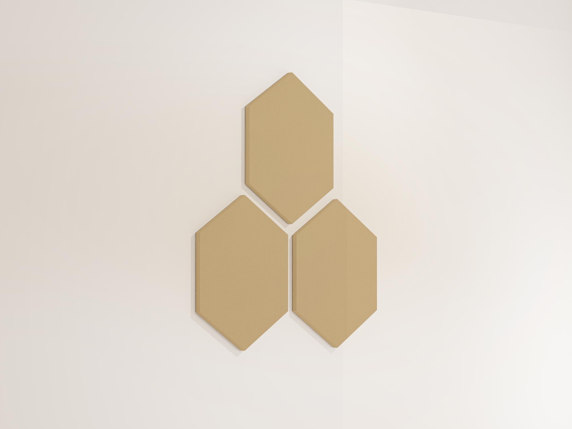 40WallHexagon31