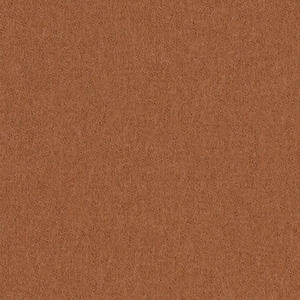 Focus 61036
