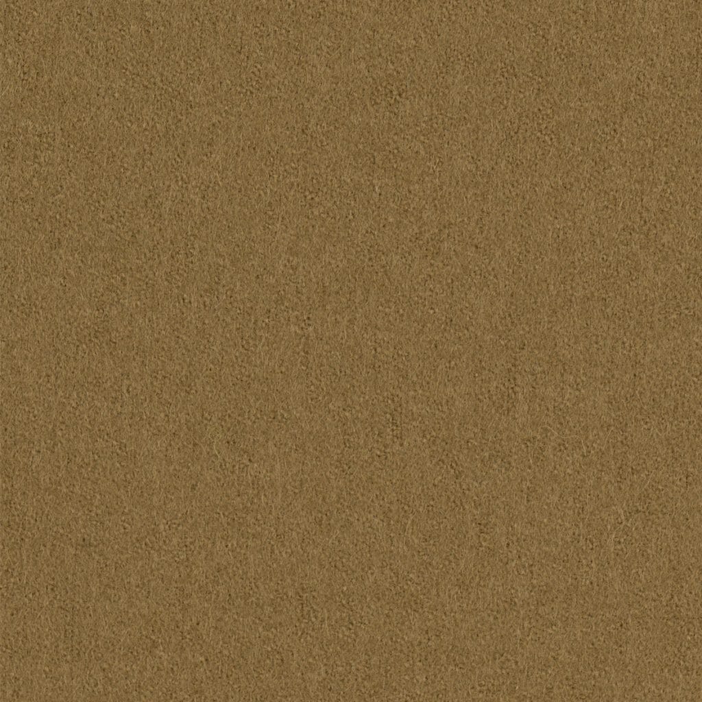 Focus 61037