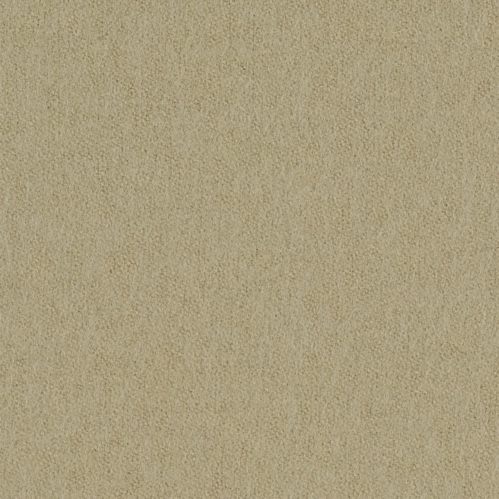 Focus 61040