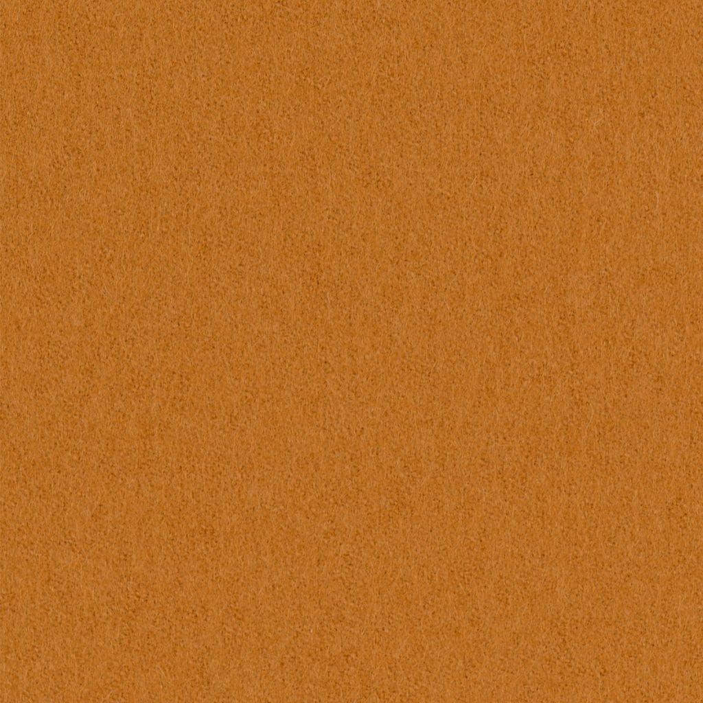 Focus 62018