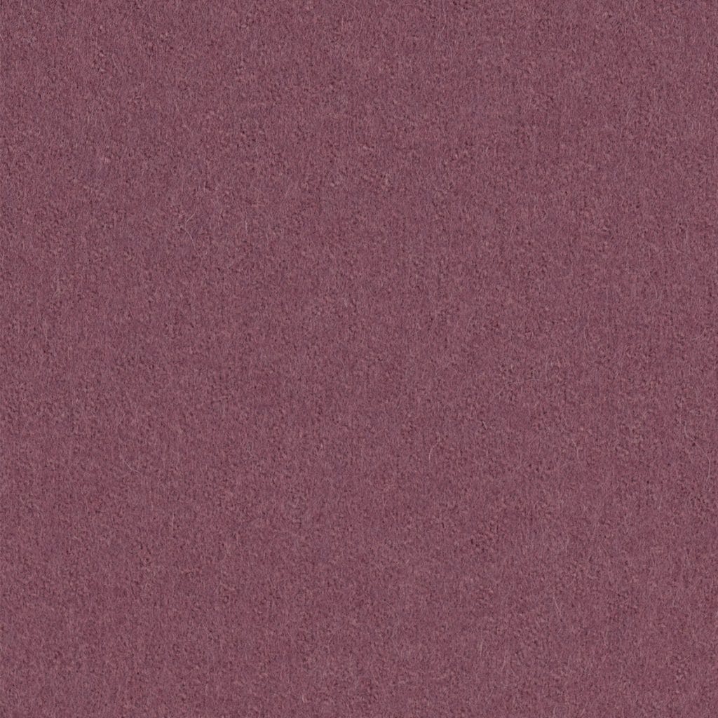 Focus 65032