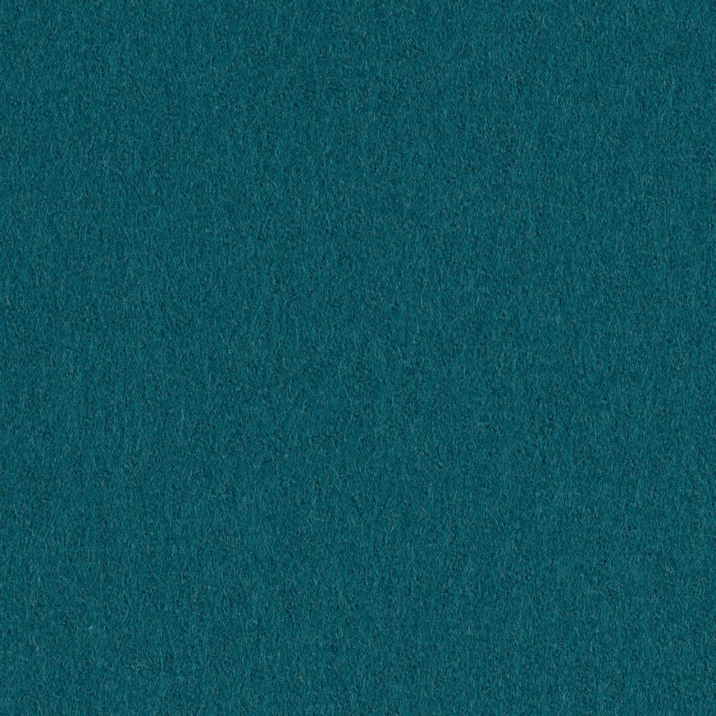 Focus 66010